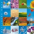 Cartes de voeux entreprises - ref C827