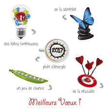 carte bonne annee flash