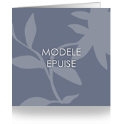Modèle épuisé