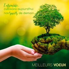 Ecard animée C2615