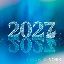 Carte de voeux virtuelle C2717