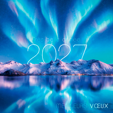 Carte de voeux virtuelle C2720