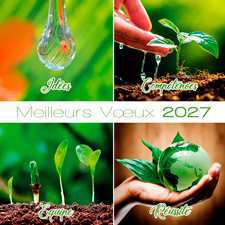 Carte de voeux virtuelle C2731