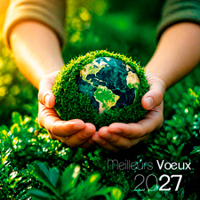 Carte de voeux virtuelle C2743