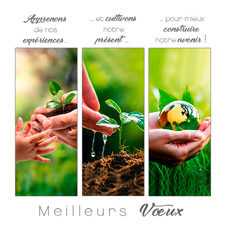 Ecard animée P2137