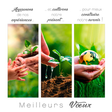 Ecard animée P2643