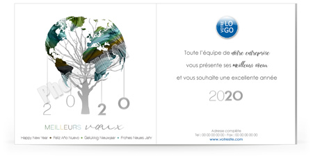 Ecard fixe C2010