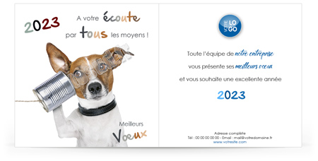 Ecard fixe C2331