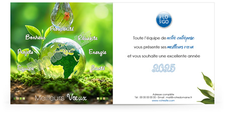 Ecard professionnelle C2517