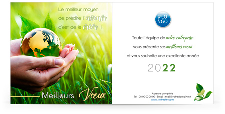 Ecard fixe P2241