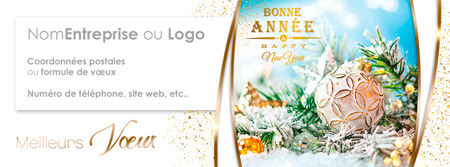 Signature voeux C2635