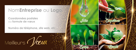 Signature voeux C2731
