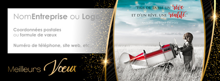 Signature voeux C2740